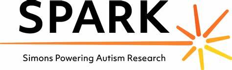 Spark for Autism – Advocacy Tools
